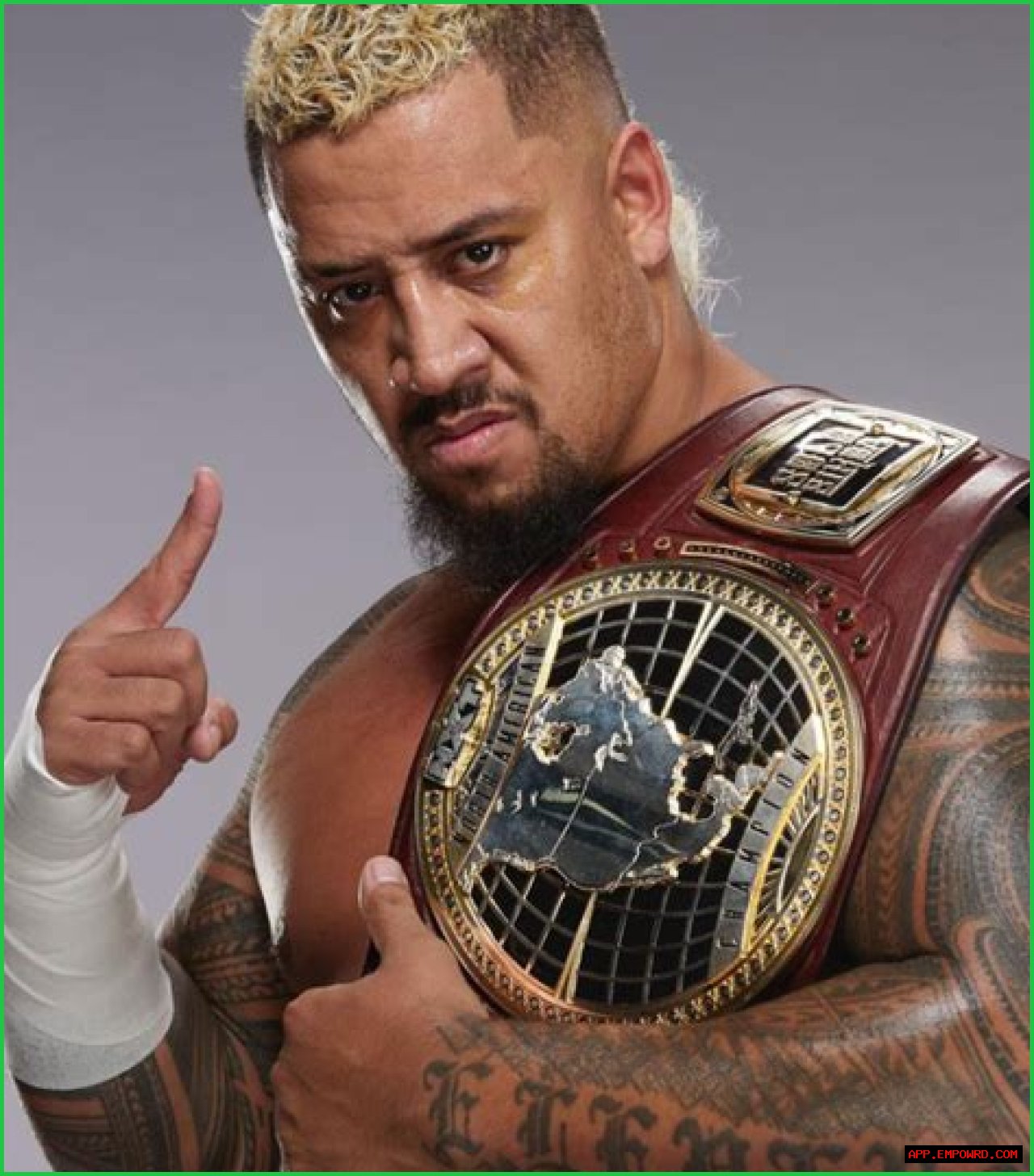 Solo Sikoa: Rising Star In The Wrestling World