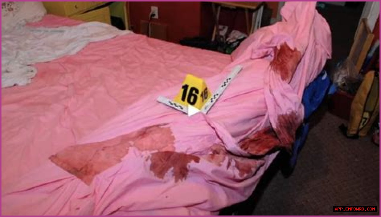 The Intriguing World Of Gypsy Crime Scene: Unraveling Mysteries And Misconceptions