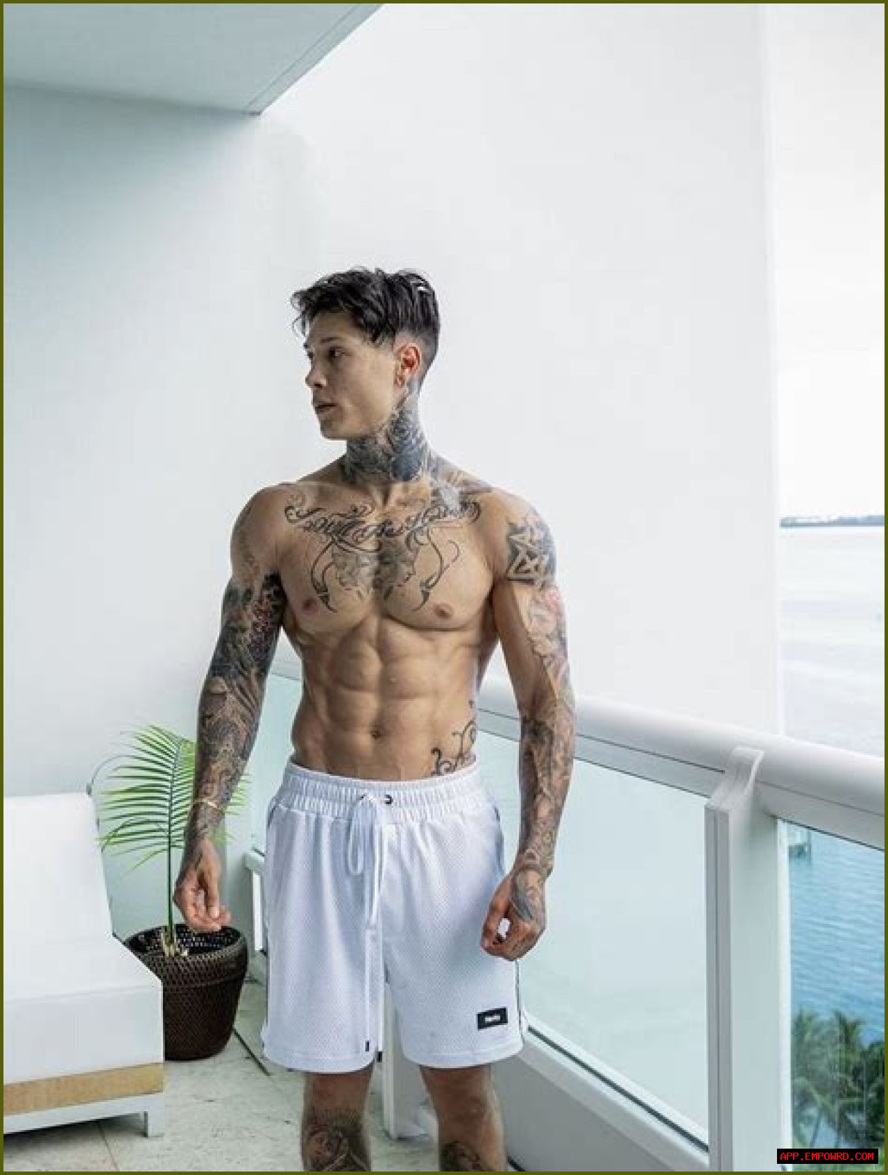 Unveiling Chris Heria's Height In Feet: The Man Behind The Muscle