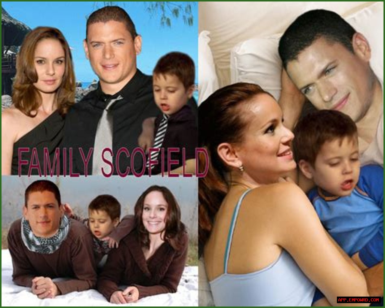 Unveiling The Extraordinary Life And Impact Of Wentworth Miller