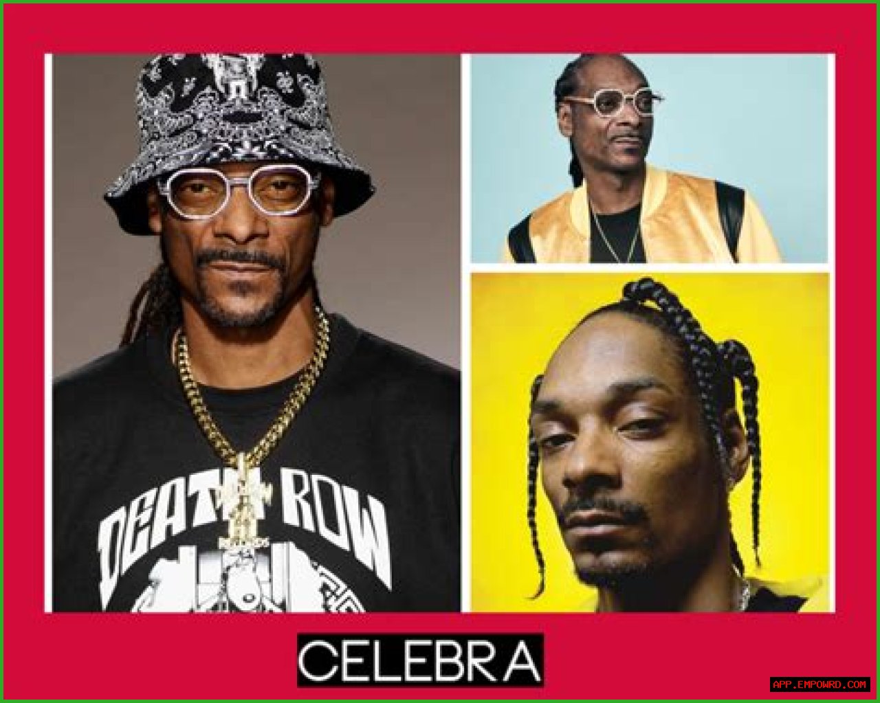 Unveiling The Truth: Is Snoop Dogg A Felon?